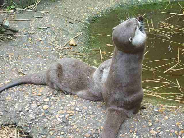 Favorite date, a day in a wildlife park in the UK