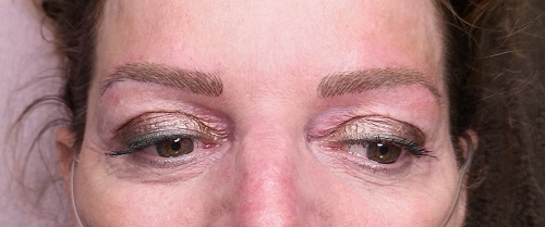 eyebrows with the hairstroke technique