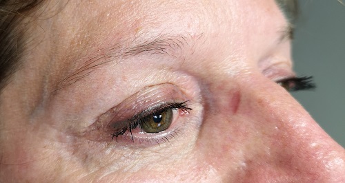 eyebrows with the hairstroke technique