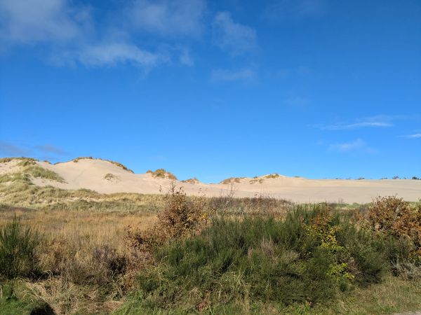 Thhe Dunes