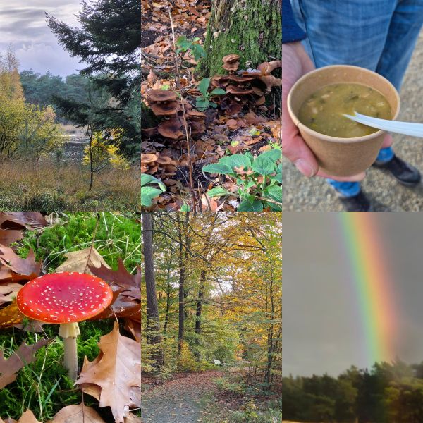 Sunday at the National Park