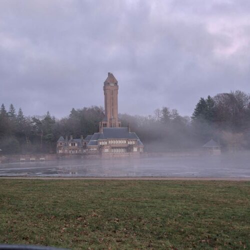 in the national park with fog