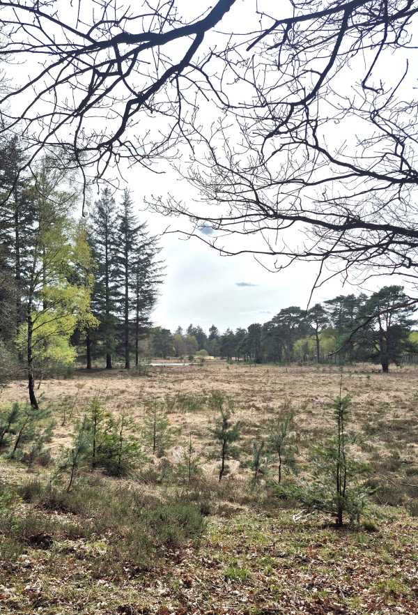 another week in my life