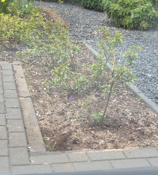 another week in my life